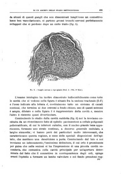 Il policlinico. Sezione chirurgica organo della Società italiana di chirurgia