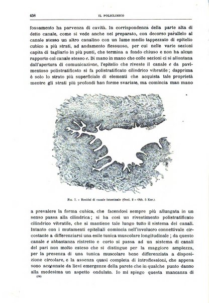 Il policlinico. Sezione chirurgica organo della Società italiana di chirurgia