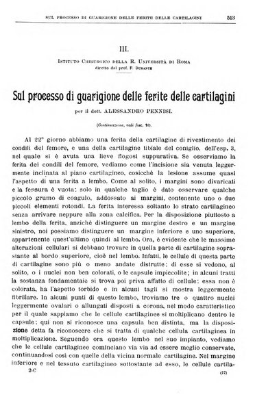 Il policlinico. Sezione chirurgica organo della Società italiana di chirurgia