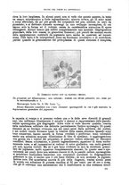 giornale/CFI0397638/1906/unico/00000119