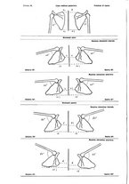 giornale/CFI0397638/1906/unico/00000246