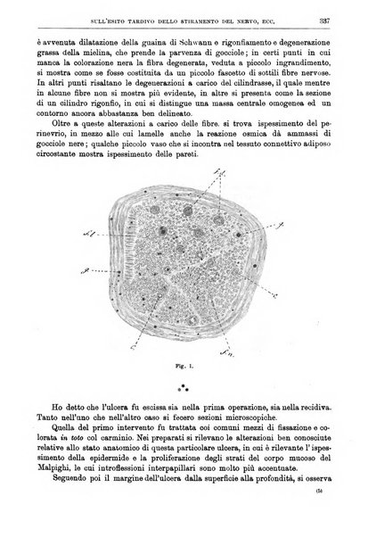 Il policlinico. Sezione chirurgica organo della Società italiana di chirurgia