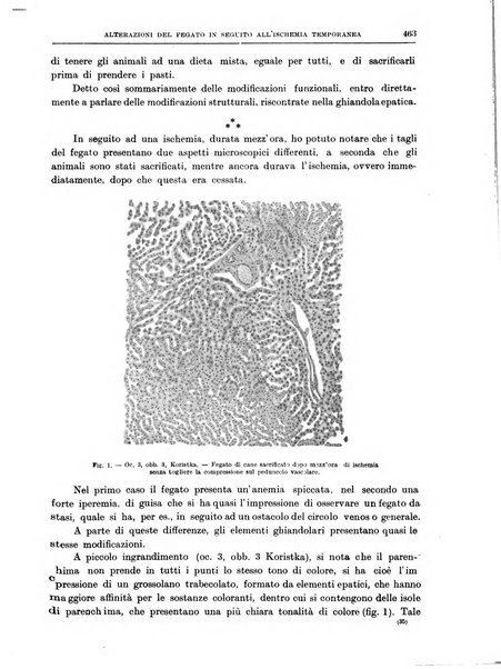 Il policlinico. Sezione chirurgica organo della Società italiana di chirurgia