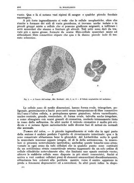 Il policlinico. Sezione chirurgica organo della Società italiana di chirurgia