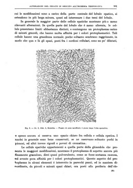 Il policlinico. Sezione chirurgica organo della Società italiana di chirurgia