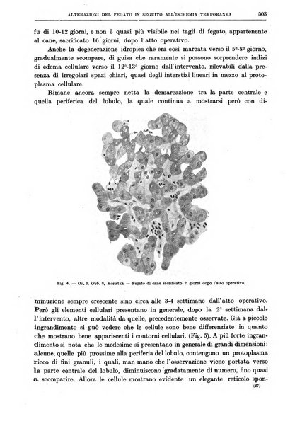 Il policlinico. Sezione chirurgica organo della Società italiana di chirurgia