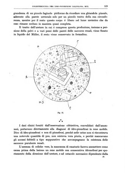 Il policlinico. Sezione chirurgica organo della Società italiana di chirurgia