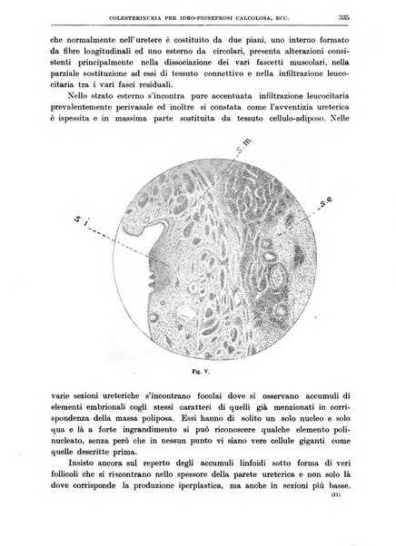 Il policlinico. Sezione chirurgica organo della Società italiana di chirurgia