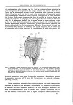 giornale/CFI0397638/1907/unico/00000131