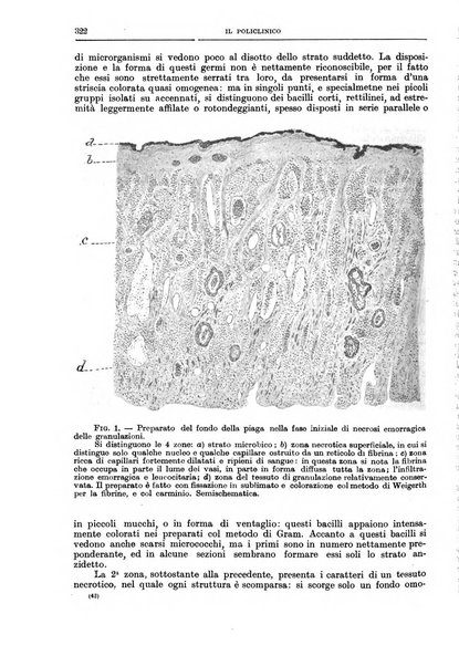 Il policlinico. Sezione chirurgica organo della Società italiana di chirurgia