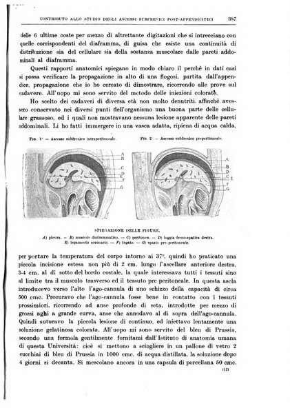 Il policlinico. Sezione chirurgica organo della Società italiana di chirurgia