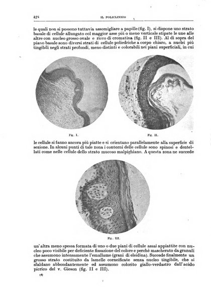 Il policlinico. Sezione chirurgica organo della Società italiana di chirurgia