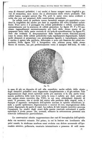 Il policlinico. Sezione chirurgica organo della Società italiana di chirurgia