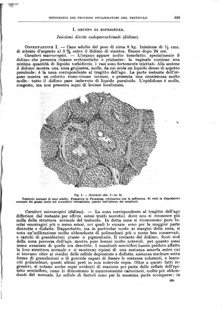 Il policlinico. Sezione chirurgica organo della Società italiana di chirurgia