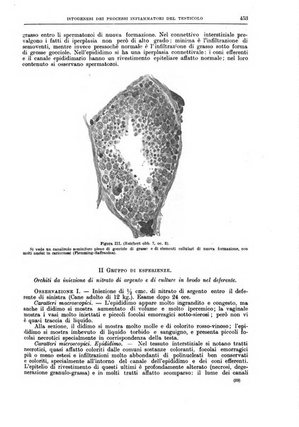 Il policlinico. Sezione chirurgica organo della Società italiana di chirurgia