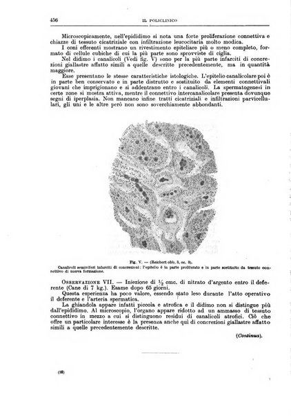 Il policlinico. Sezione chirurgica organo della Società italiana di chirurgia