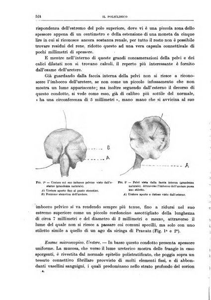 Il policlinico. Sezione chirurgica organo della Società italiana di chirurgia