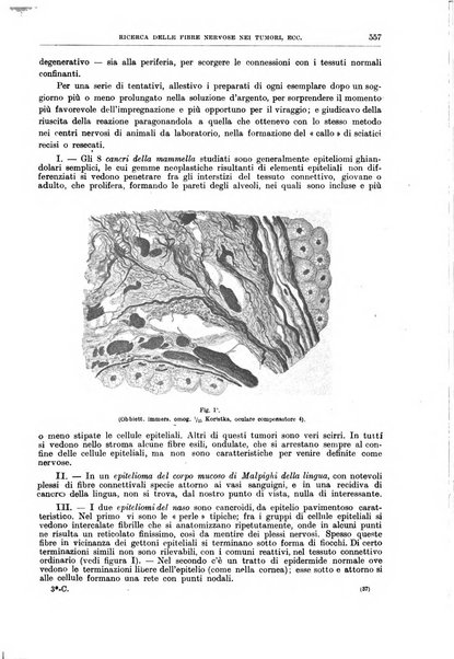 Il policlinico. Sezione chirurgica organo della Società italiana di chirurgia