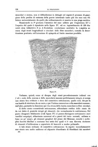 Il policlinico. Sezione chirurgica organo della Società italiana di chirurgia