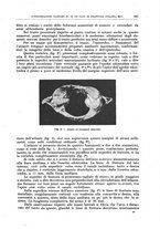 giornale/CFI0397638/1908/unico/00000253