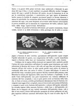giornale/CFI0397638/1908/unico/00000260