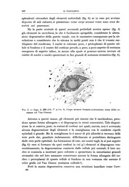 Il policlinico. Sezione chirurgica organo della Società italiana di chirurgia