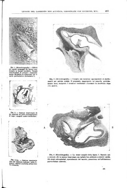 Il policlinico. Sezione chirurgica organo della Società italiana di chirurgia