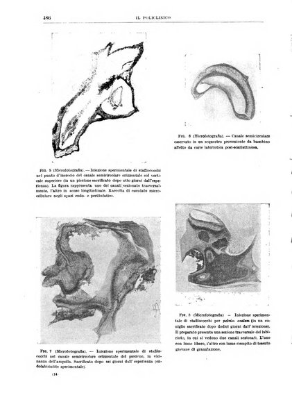 Il policlinico. Sezione chirurgica organo della Società italiana di chirurgia