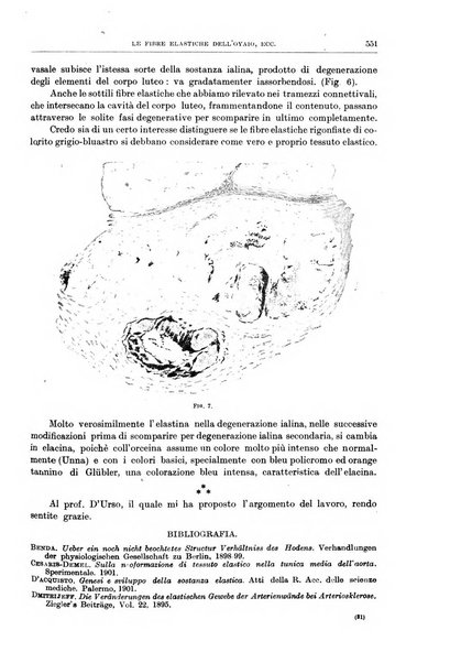 Il policlinico. Sezione chirurgica organo della Società italiana di chirurgia