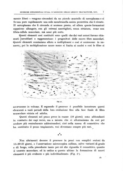 Il policlinico. Sezione chirurgica organo della Società italiana di chirurgia