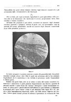 giornale/CFI0397638/1909/unico/00000501