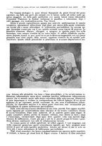 giornale/CFI0397638/1909/unico/00000563