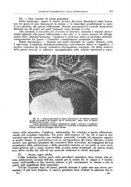 Il policlinico. Sezione chirurgica organo della Società italiana di chirurgia