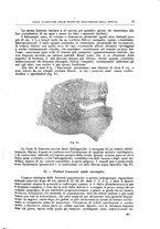 giornale/CFI0397638/1912/unico/00000103