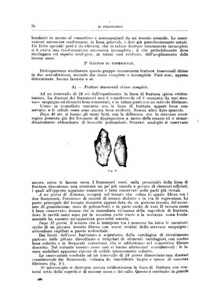 Il policlinico. Sezione chirurgica organo della Società italiana di chirurgia