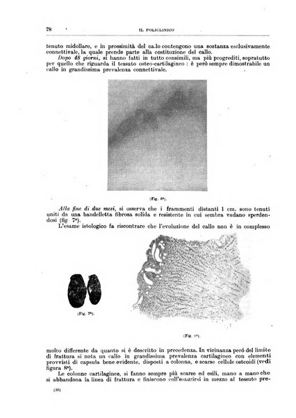 Il policlinico. Sezione chirurgica organo della Società italiana di chirurgia