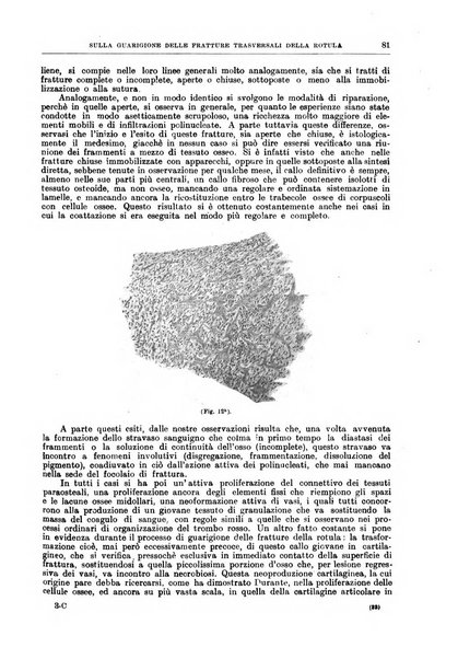 Il policlinico. Sezione chirurgica organo della Società italiana di chirurgia