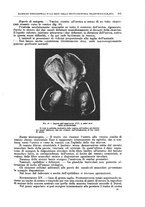giornale/CFI0397638/1912/unico/00000133