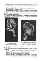 giornale/CFI0397638/1912/unico/00000135