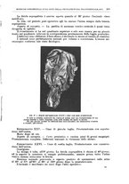giornale/CFI0397638/1912/unico/00000137