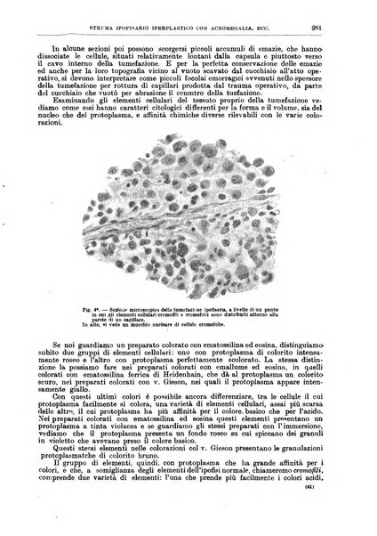 Il policlinico. Sezione chirurgica organo della Società italiana di chirurgia