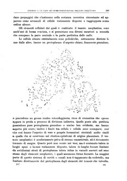 Il policlinico. Sezione chirurgica organo della Società italiana di chirurgia