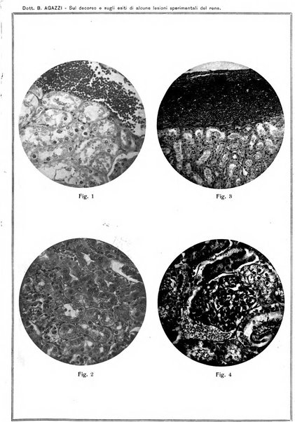 Il policlinico. Sezione chirurgica organo della Società italiana di chirurgia