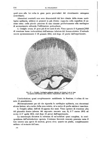 Il policlinico. Sezione chirurgica organo della Società italiana di chirurgia