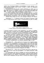 giornale/CFI0397638/1913/unico/00000613