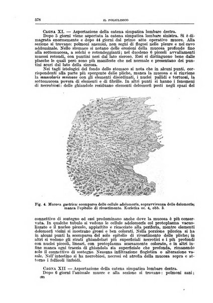 Il policlinico. Sezione chirurgica organo della Società italiana di chirurgia