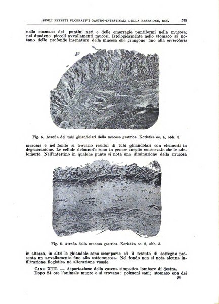 Il policlinico. Sezione chirurgica organo della Società italiana di chirurgia