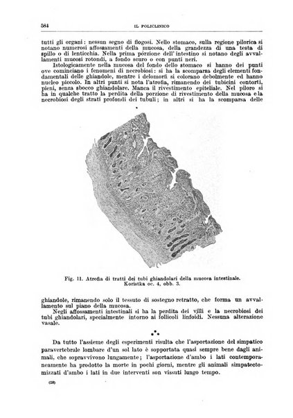 Il policlinico. Sezione chirurgica organo della Società italiana di chirurgia