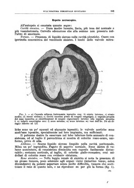 Il policlinico. Sezione chirurgica organo della Società italiana di chirurgia