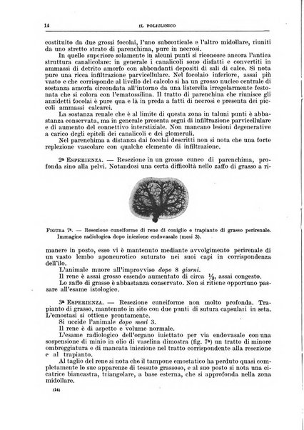 Il policlinico. Sezione chirurgica organo della Società italiana di chirurgia